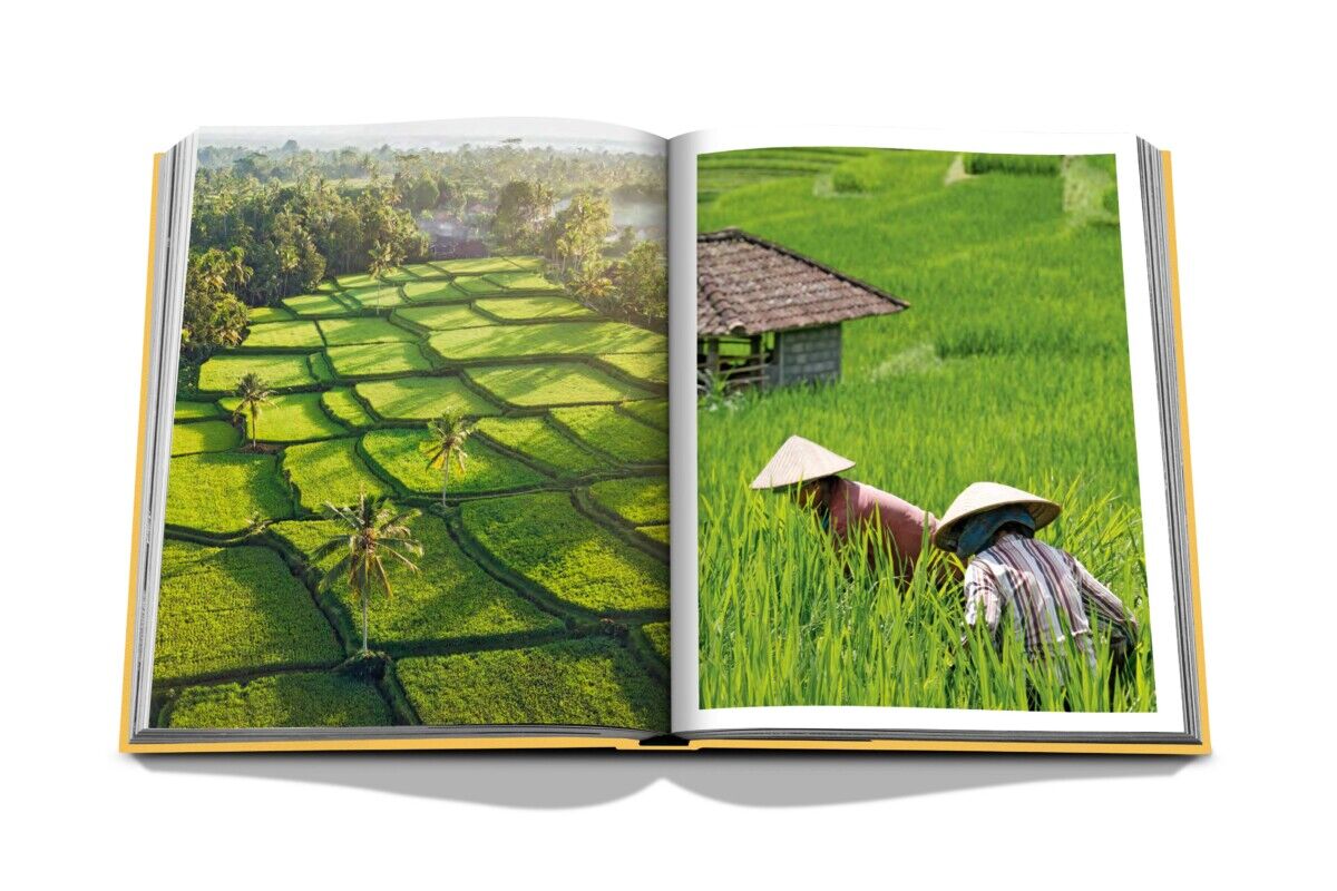 Assouline Bali Mystique - Image 4