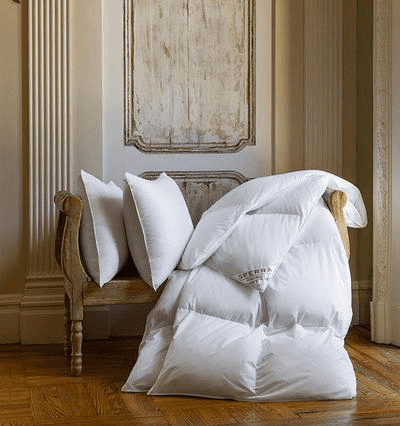 Sferra Cornwall Pillow - Image 2
