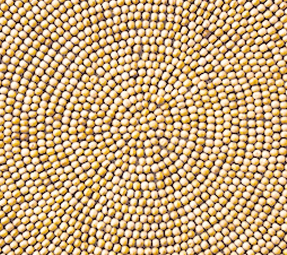Wood Round Placemat in Natural