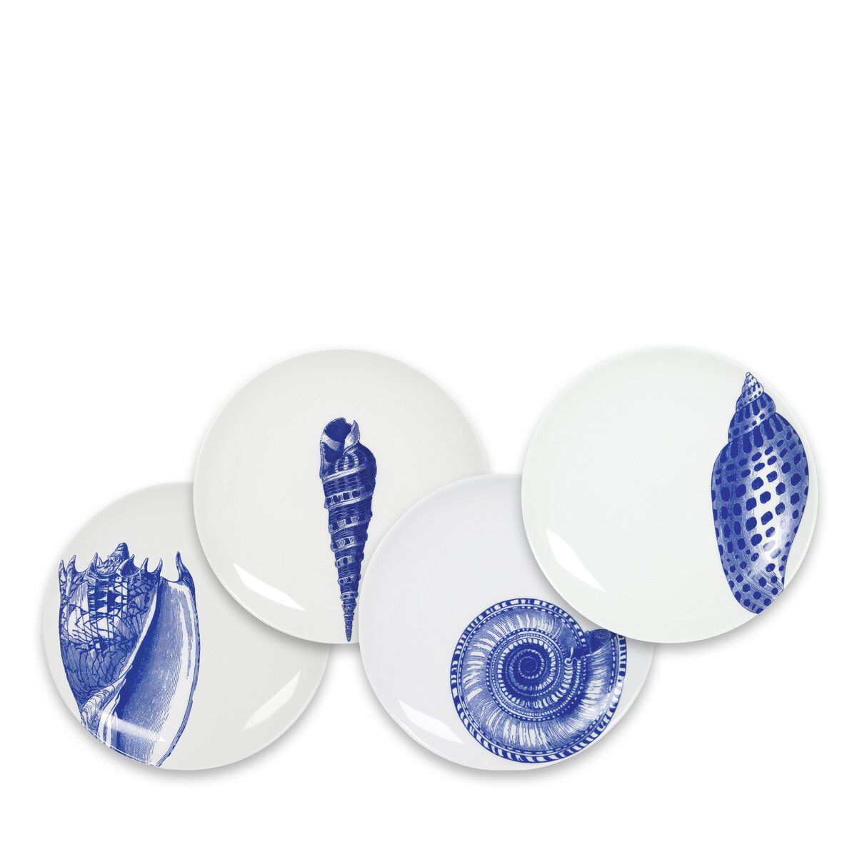 Blue Shells Canapes Mixed Set of 4