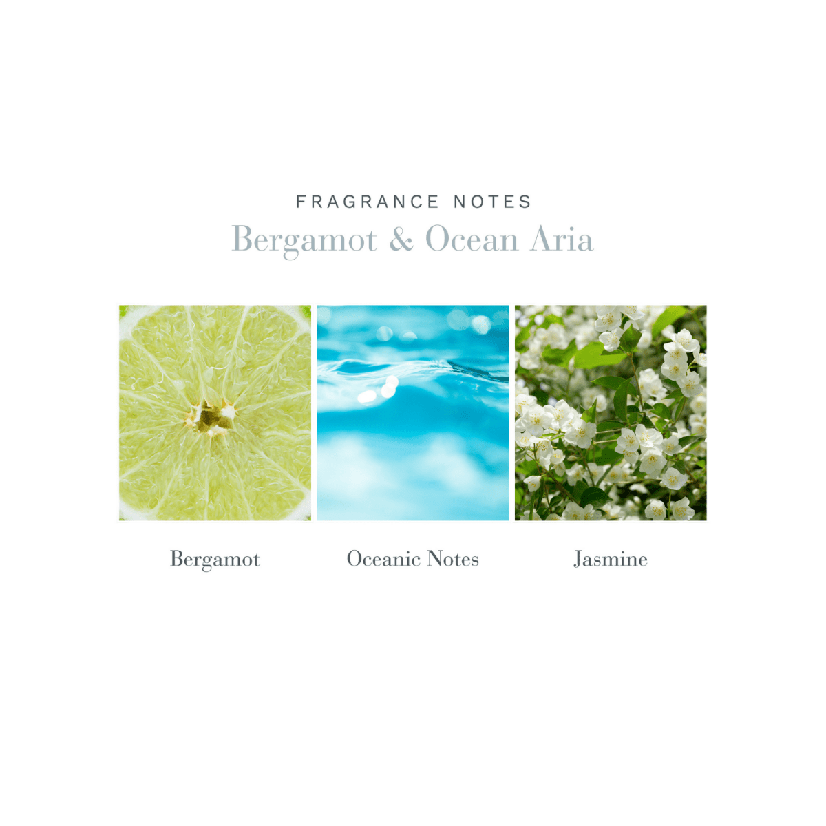 Crystal Diffuser Bergamot & Ocean Aria Scents