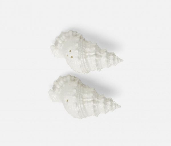 conch shell salt and pepper shakers in white porcelain, set of 2 #1