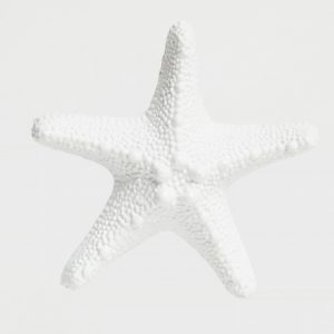 white starfish