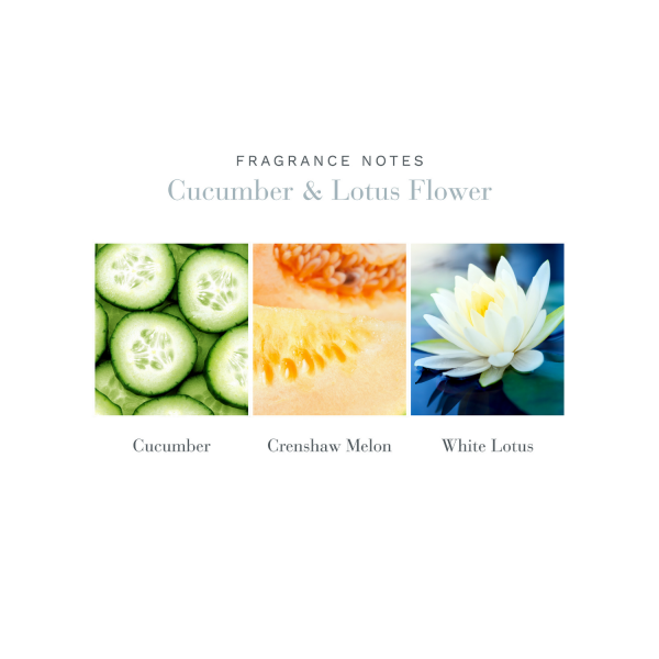 Crystal Diffuser Cucumber & Lotus FLower Scents