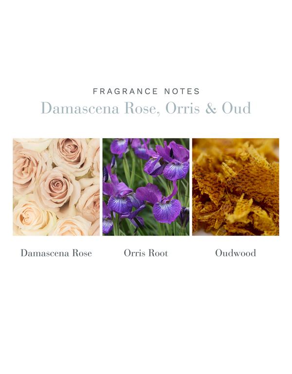 Damascena Rose, Orris and Oud Scent Sheet