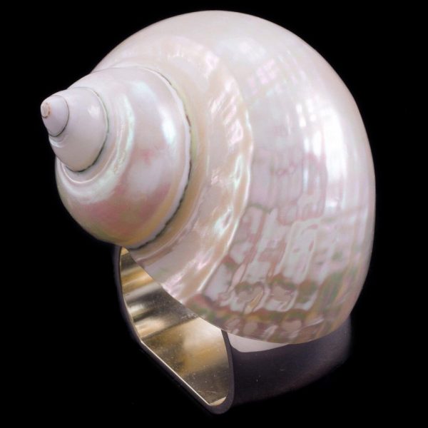 Pearl Turbo Shell Napkin Ring Set of 4
