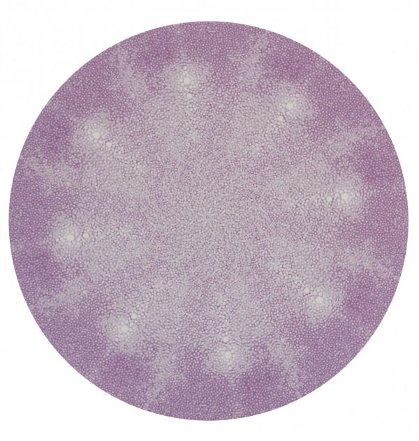 Soft Lilac Shagreen