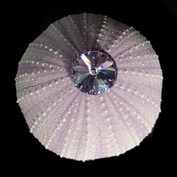 Violet Sea Urchin Napkin Ring Featuring Swarovski Crystal Set of 4 Above