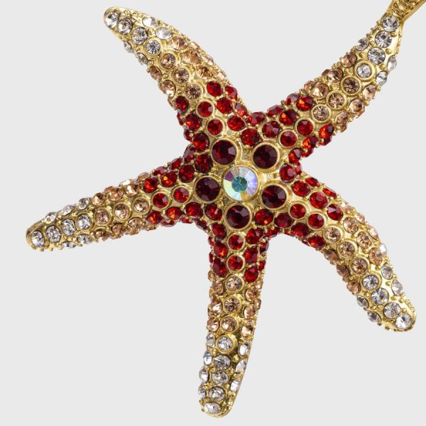 Starfish Hanging Ornament Coral Closeup
