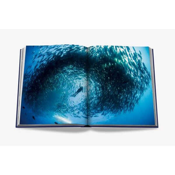 Assouline Ocean Wanderlust