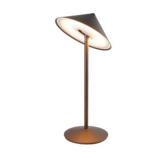 Pina-L-Desk-Lamp-Bronze