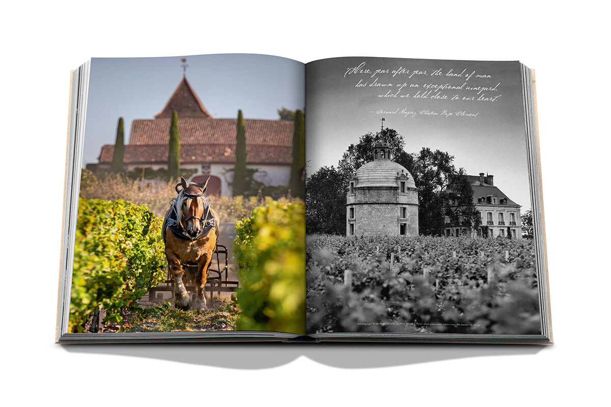 Assouline Wine & Travel France - Image 5